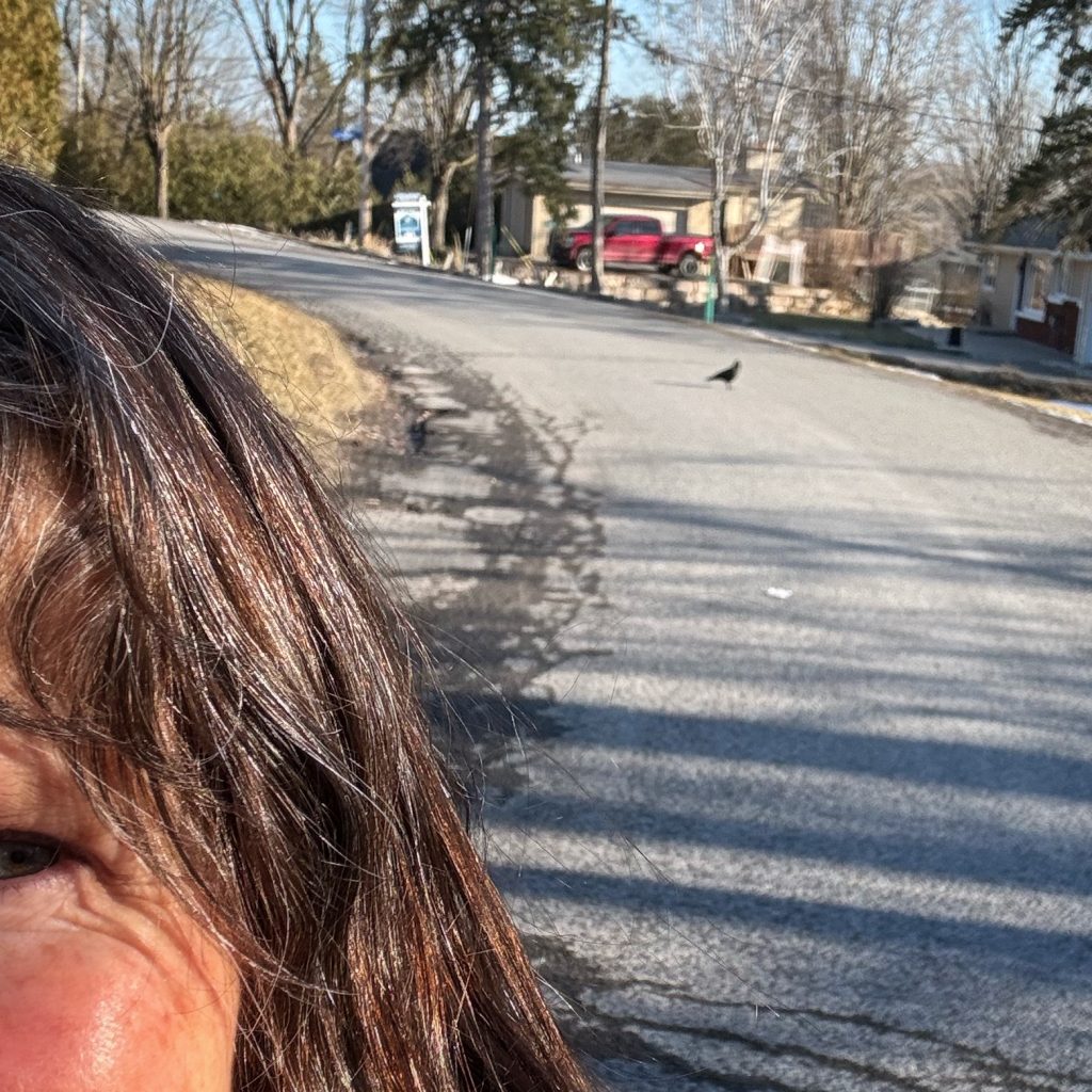 Looking past corner of a woman's face over her shoulder to a crow eating a peanut on the road