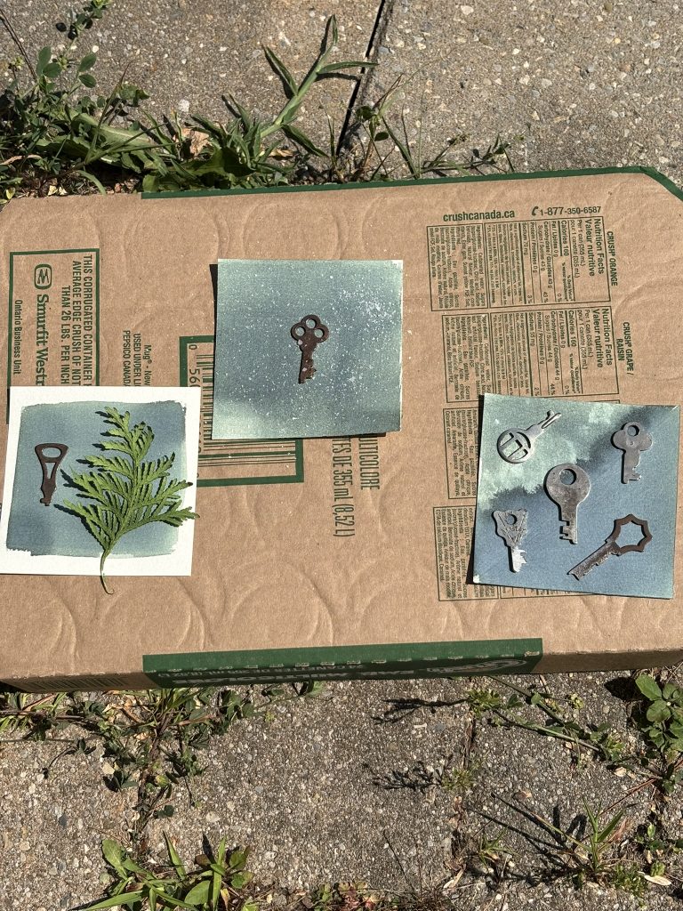 A cardboard box lid with three dry cyanotypes in progress, one with a sprig of cedar, one with a sprinkle of salt and one with five keys on a splotchy solution background