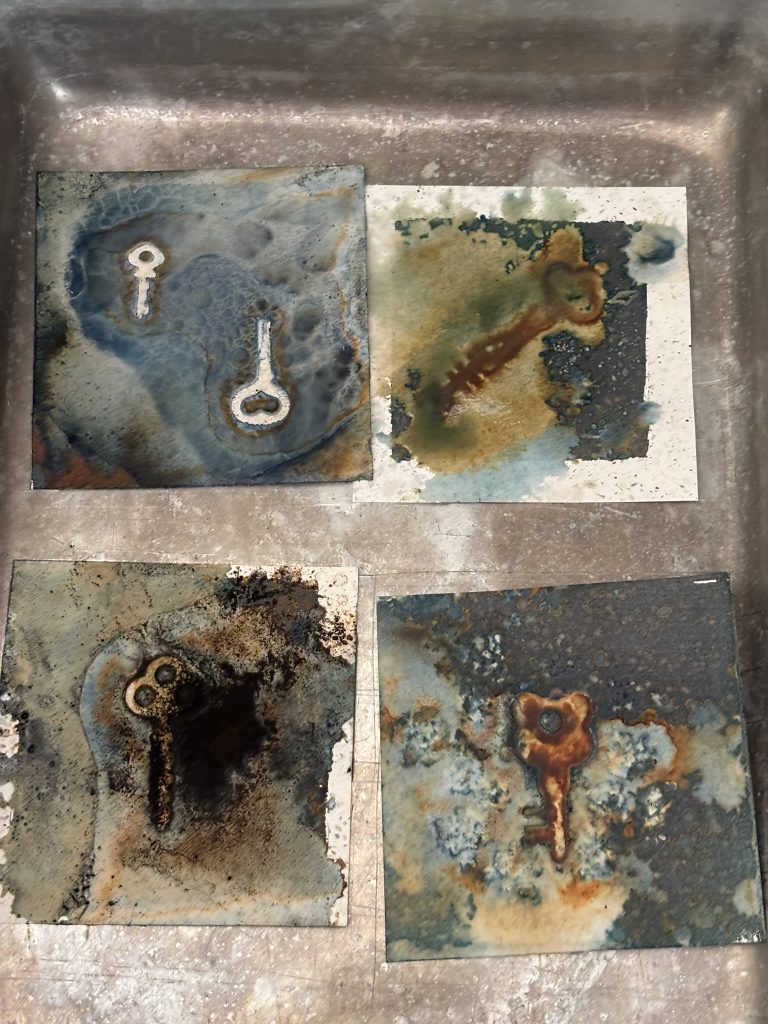 The wet cyanotypes in a metal tray